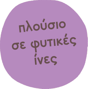Πλούσιο σε φυτικές ίνες